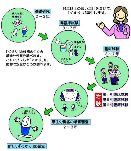 イラスト：薬の誕生まで
