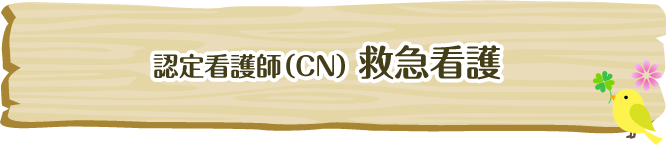 スペシャリストNs