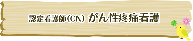 スペシャリストNs