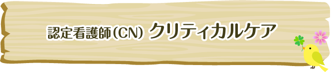 スペシャリストNs