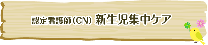 スペシャリストNs