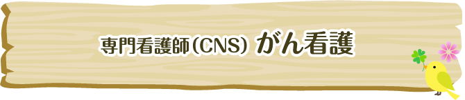 スペシャリストNs