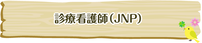 スペシャリストNs