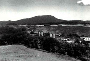 図2.旧大野村（現洋野町大野地区）につながる道の遠景（旧大野村のホームページより引用）