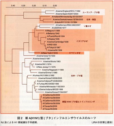 図2　新A（H1N1）型（ブタ）インフルエンザウイルスのルーツ